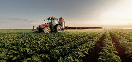 Trattore in un campo
